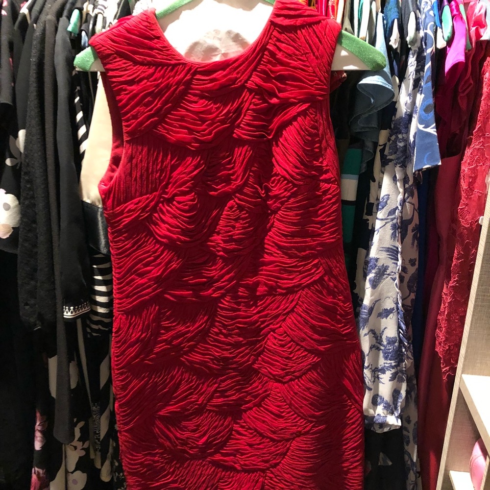 Robert Rodriguez NWOT Rosette Dress